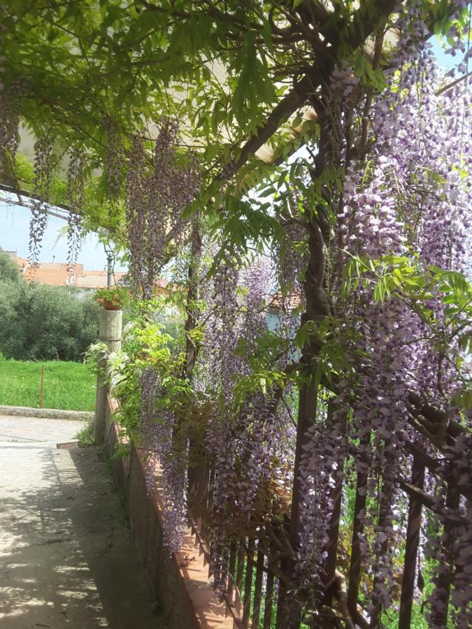 Bed and Breakfast Mansarda Fiorita Abatemarco Exterior foto