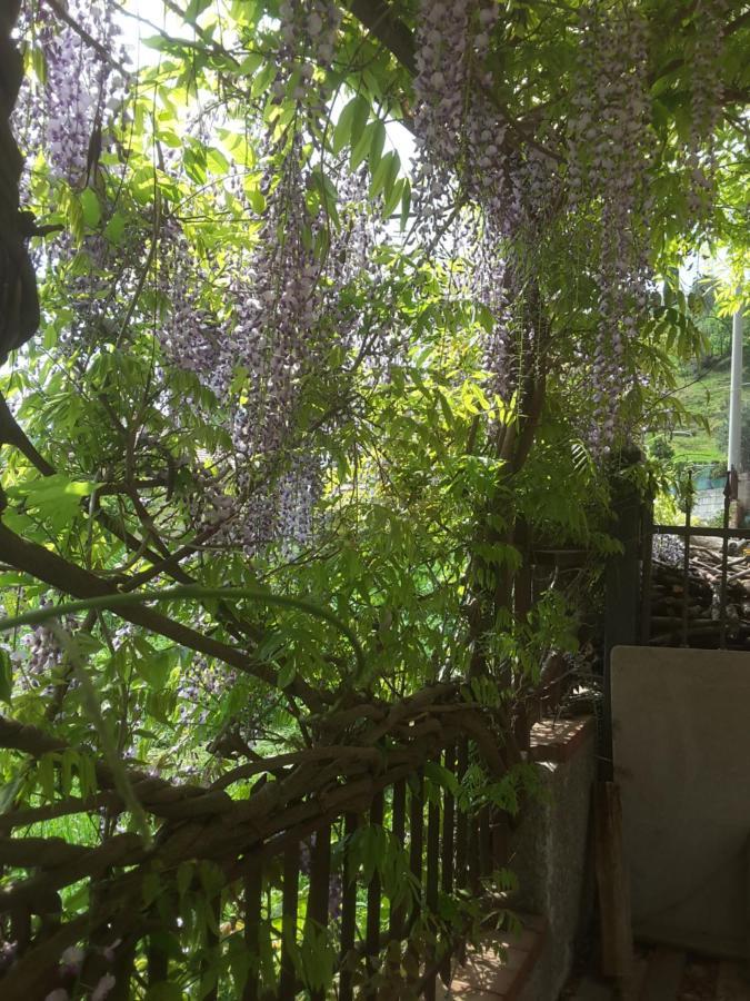 Bed and Breakfast Mansarda Fiorita Abatemarco Exterior foto