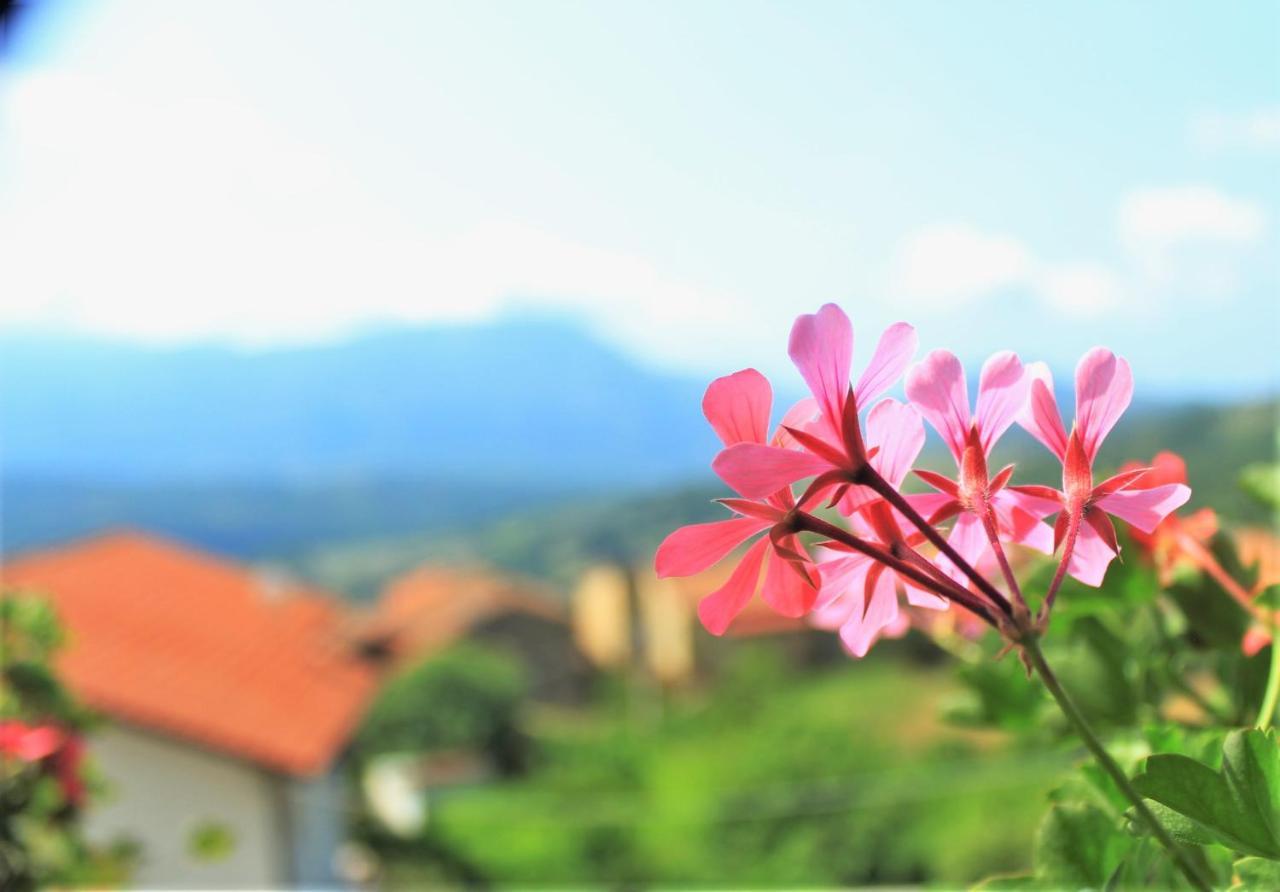 Bed and Breakfast Mansarda Fiorita Abatemarco Exterior foto
