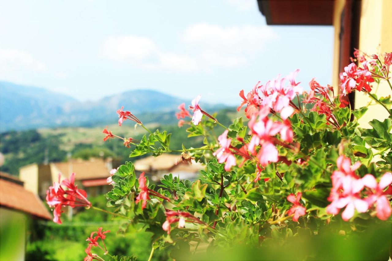 Bed and Breakfast Mansarda Fiorita Abatemarco Exterior foto